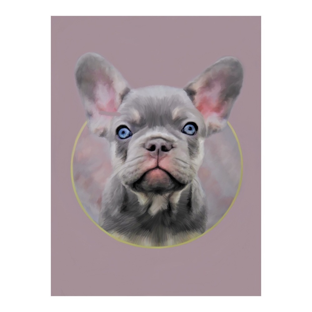 CUSTOM FRAMED PET PORTRAIT PAINTING